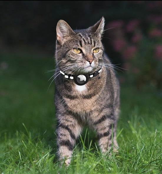 Seu gato sempre ao alcance: Garanta a tranquilidade de saber onde está seu peludo com a ATUBAN Airtag Cat Collar, uma coleira que une segurança e tecnologia. shopjponline.com